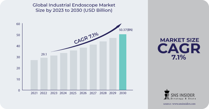 Industrial Endoscope Market Revenue Analysis