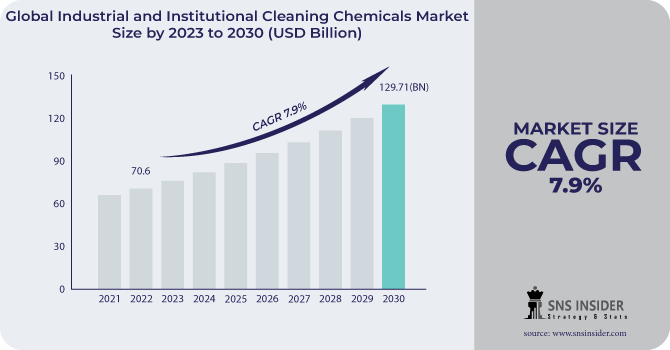 Industrial and Institutional Cleaning Chemicals Market Revenue Analysis