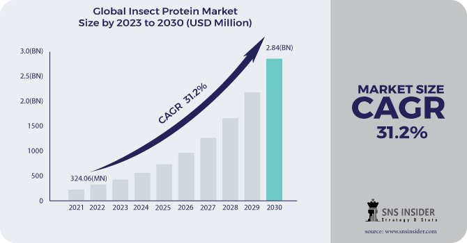 Insect Protein Market Revenue 2030