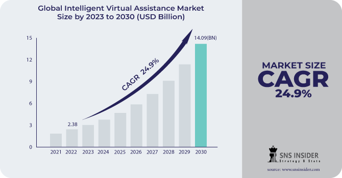Intelligent Virtual Assistance Market Revenue Analysis