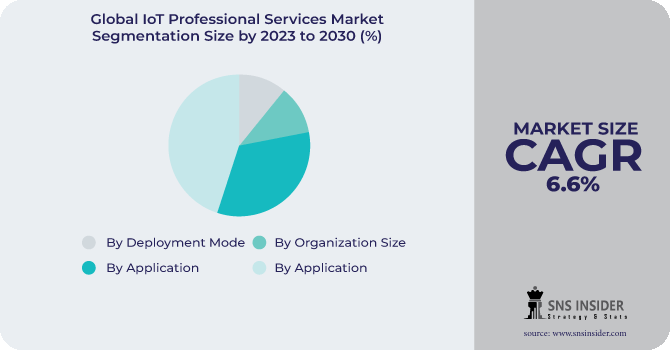 IoT Professional Services Market Segmentation Analysis