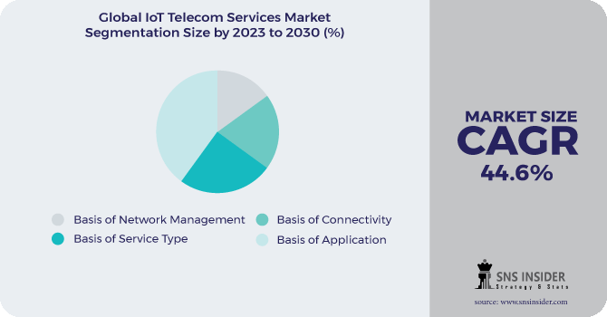 IoT Telecom Services Market Segmentation Analysis