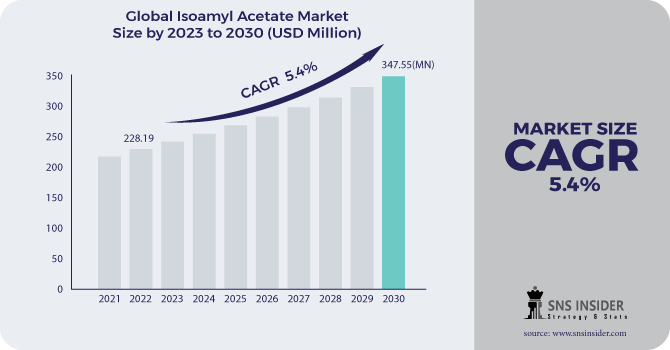 Isoamyl Acetate Market Revenue Analysis