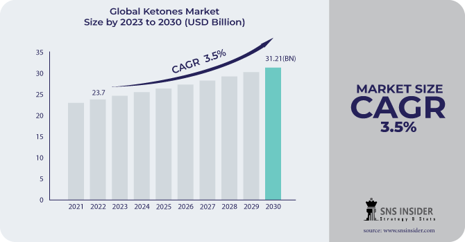 Ketones Market Revenue Analysis