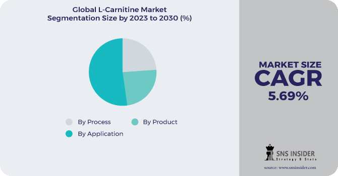 L-carnitine Market Segmentation Analysis