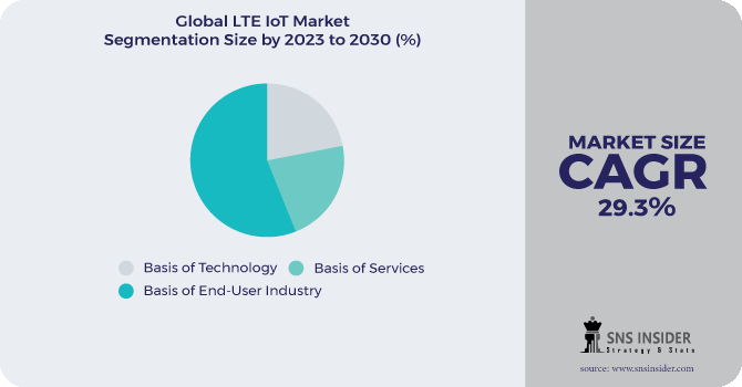 LTE IoT Market Segmentation Analysis
