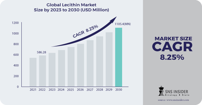Lecithin Market Revenue Analysis