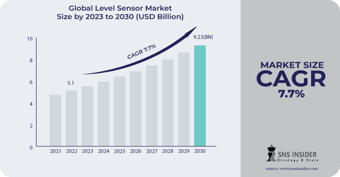 Level Sensor Market Revenue Analysis