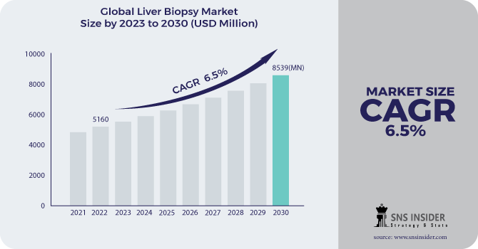 Liver Biopsy Market Revenue Analysis