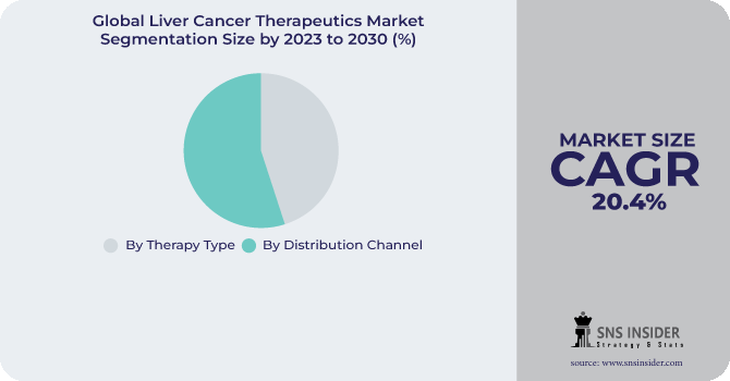 Liver Cancer Therapeutics Market Segmentation Analysis