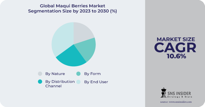 Maqui Berries Market Segmentation Analysis