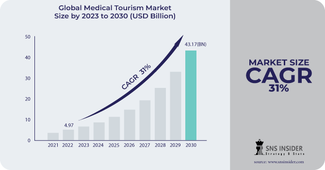Medical Tourism Market Revenue Analysis