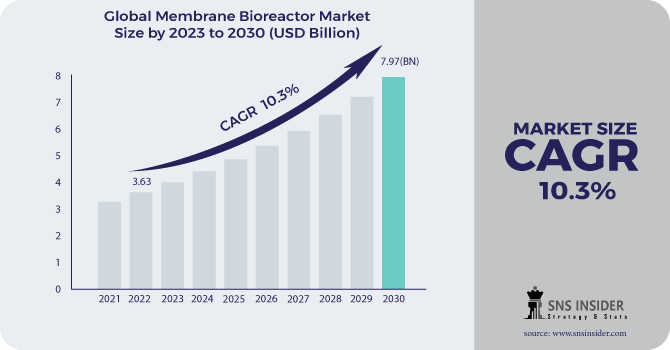 Membrane Bioreactor Market Revenue Analysis