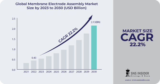 Membrane Electrode Assembly Market Revenue Analysis