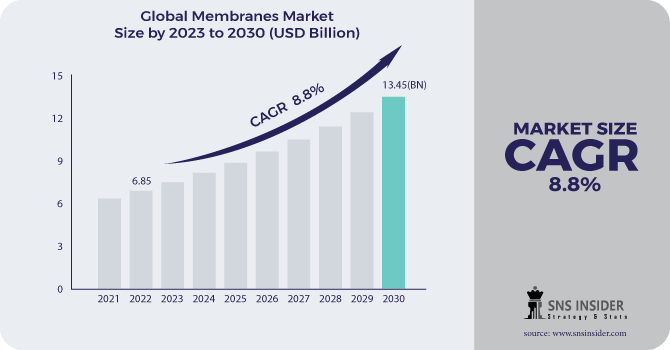 Membranes Market Revenue Analysis