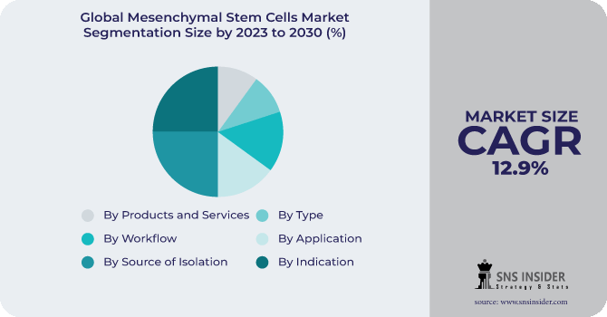 Mesenchymal Stem Cells Market Segmentation Analysis