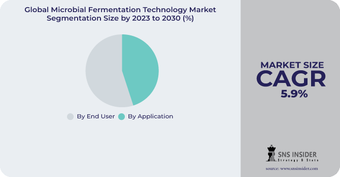 Microbial Fermentation Technology Market Segmentation Analysis