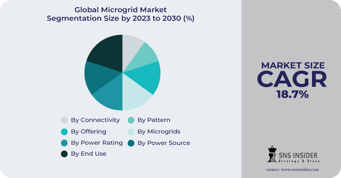 Microgrid Market Segmentation Analysis 