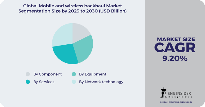 Mobile and Wireless Backhaul Market Segmentation Analysis