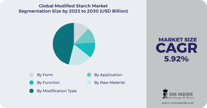 Modified Starch Market Segmentation Analysis
