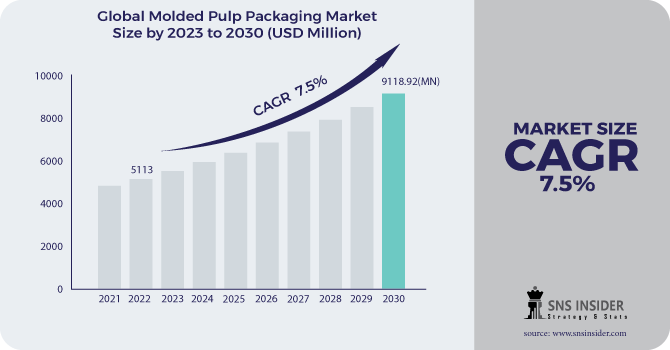 Molded Pulp Packaging Market Revenue Analysis