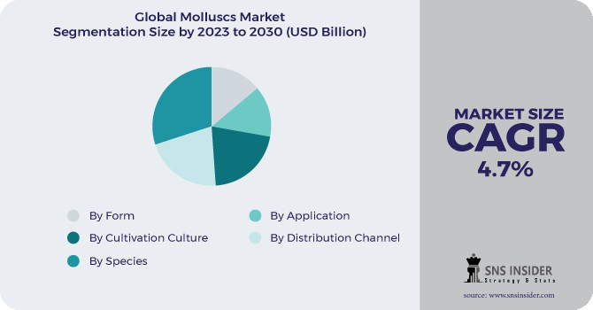 Molluscs Market Segmentation Analysis