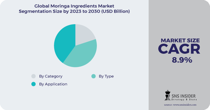 Moringa Ingredients market Segmentation Analysis