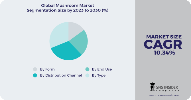 Mushroom Market Segmentation Analysis