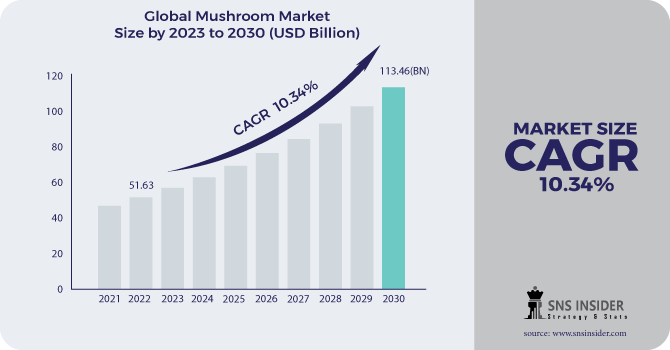Mushroom Market Revenue Analysis