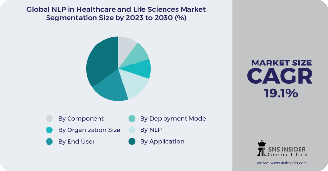 NLP in Healthcare and Life Sciences Market Segmentation Analysis