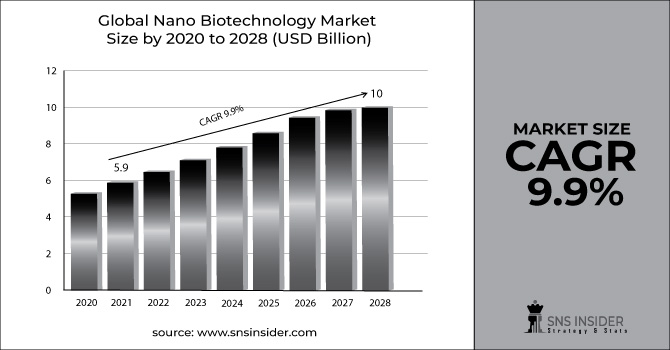 Nano Biotechnology Market