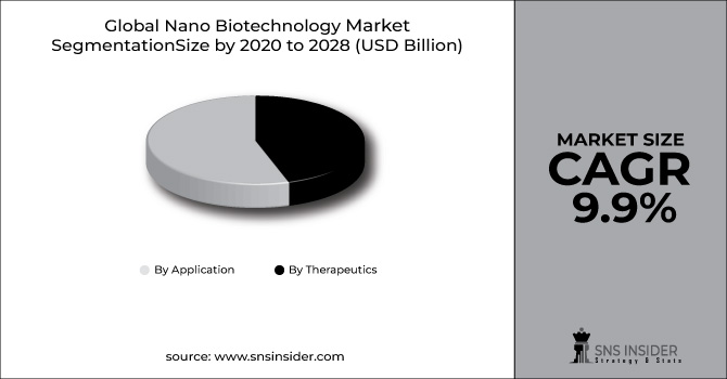 Nano Biotechnology Market