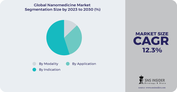 Nanomedicine Market Segmentation Analysis