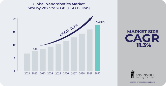 Nanorobotics Market Revenue Analysis