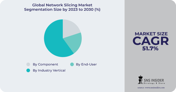 Network Slicing Market Segmentation Analysis