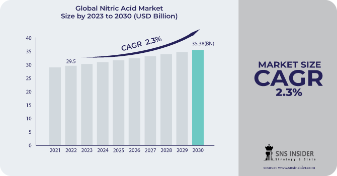 Nitric Acid Market Revenue Analysis