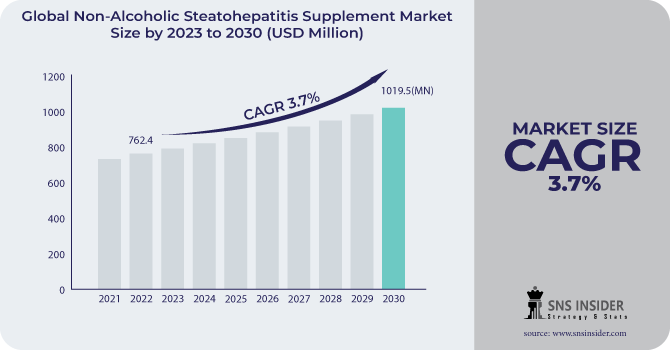 Non-Alcoholic Steatohepatitis Supplement Market Revenue Analysis