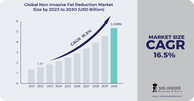 Non-Invasive Fat Reduction Market Revenue Analysis
