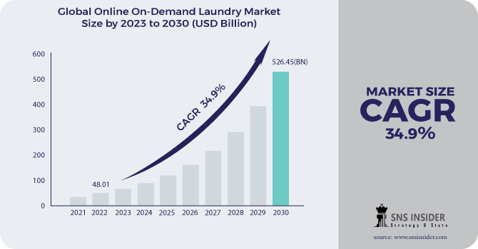 Online On-Demand Laundry Market Revenue Analysis