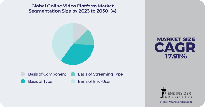 Online Video Platform Market Segmentation Analysis