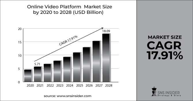Online Video Platform Market