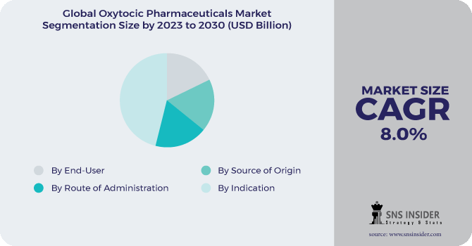 Oxytocic Pharmaceuticals Market Segmentation Analysis