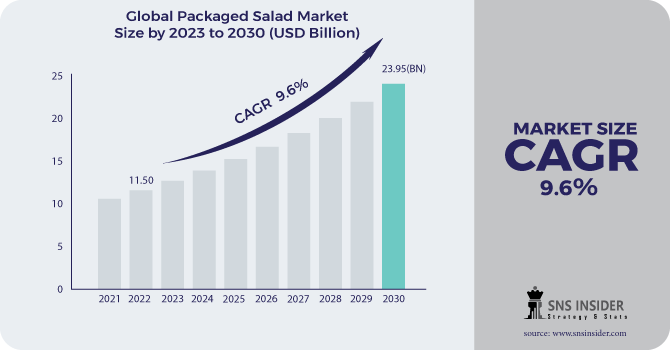 Packaged Salad Market Revenue Analysis