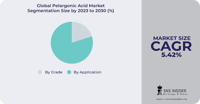Pelargonic Acid Market Segmentation Analysis