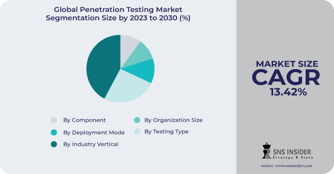Penetration Testing Market Segmentation Analysis
