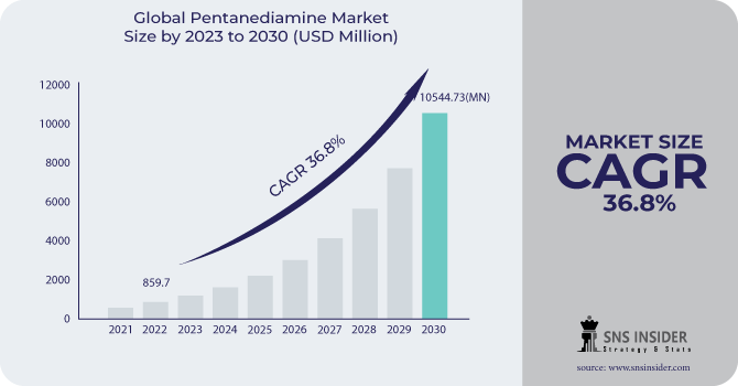 Pentanediamine Market Revenue Analysis
