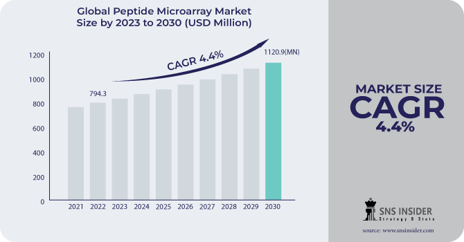 Peptide Microarray Market Revenue Analysis