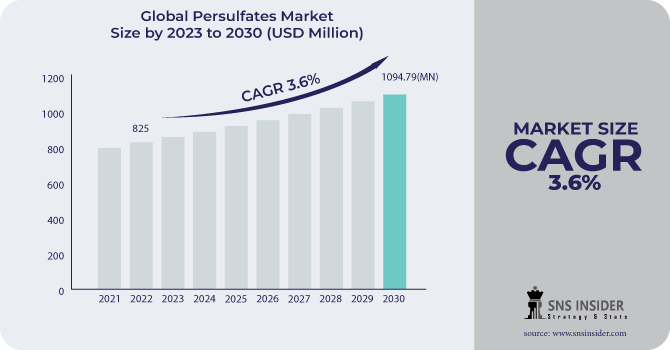 Persulfates Market Revenue Analysis