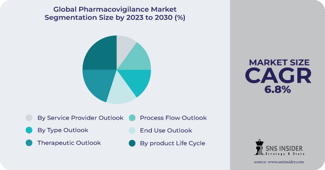 Pharmacovigilance Market Segmentation Analysis