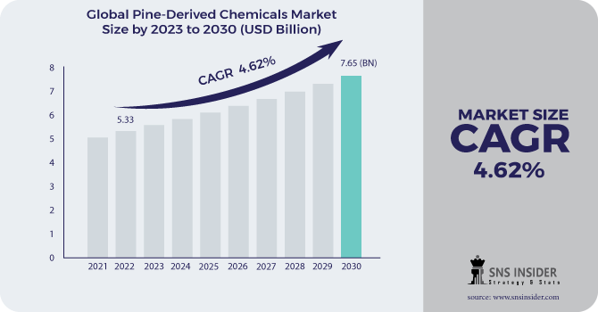 Pine-Derived Chemicals Market Revenue Analysis